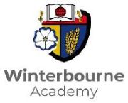 Winterbourne Academy - Term 2 Skate After School